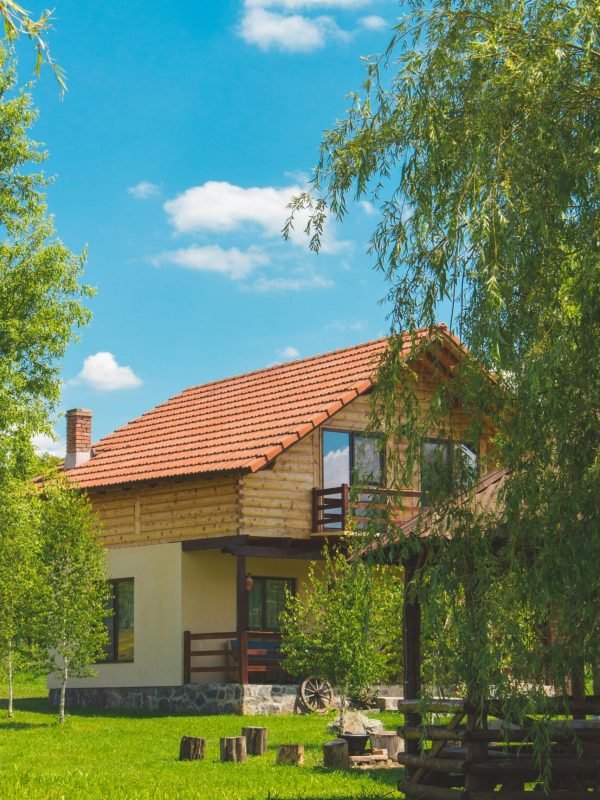 pexels-vladbagacian-1212053 pexels-vladbagacian-1212053